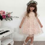 Embroidery dress